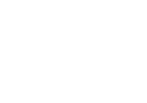 NDI logo